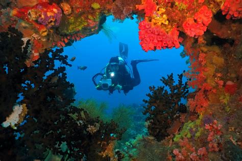 7 Most Spectacular Diving Spots in Cebu Philippines.
